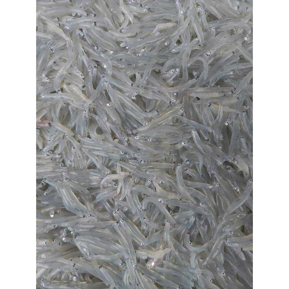 1kg Cá cơm mờm sữa khô đặc sản Nha Trang-Đóng gói hút chân không