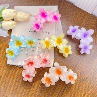 kẹp tóc hình hoa siêu sinh