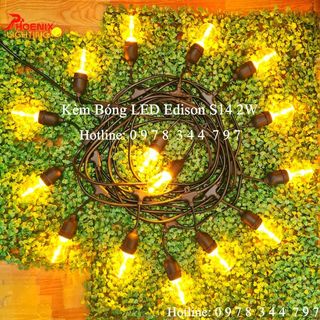 Đèn dây trang trí ngoài trời 5 mét 10 bóng Led Edison chống nước, Dây đèn trang trí nhà hàng quán cà phê ngoài trời IP65