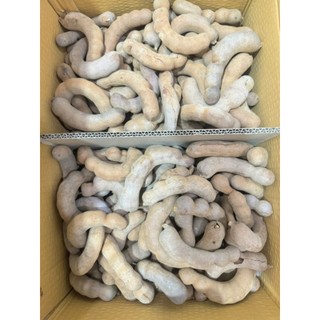 [ JENNY FRUIT ][ HÕA TỐC HCM ] ME THÁI NGỌT 1KG