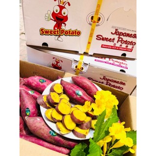 ( JENNY FRUIT ) COMBO 2KG KHOAI LANG NHẬT