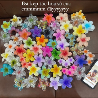 Combo 5 chiếc kẹp tóc càng cua hoa sứ mix màu