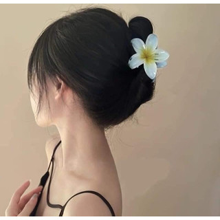 Combo 5 chiếc kẹp tóc càng cua hoa sứ mix màu