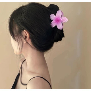 Combo 5 chiếc kẹp tóc càng cua hoa sứ mix màu