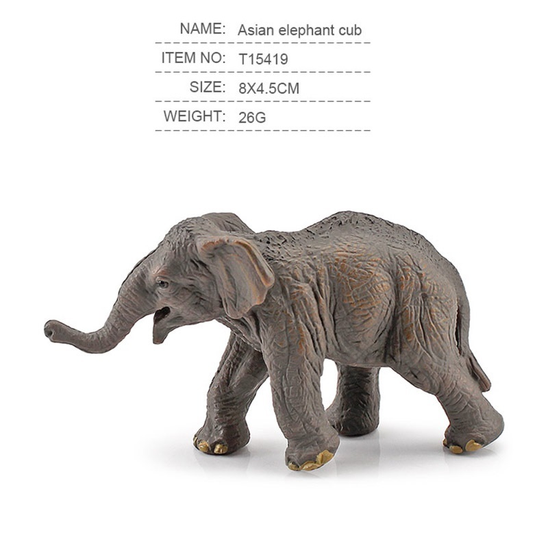 Mô hình con voi , voi châu á , con voi châu á Asian elephant cub