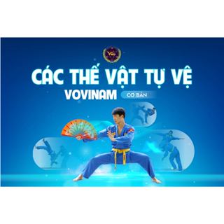 Các thế vật tự vệ Vovinam cơ bản - Khóa học online VMC