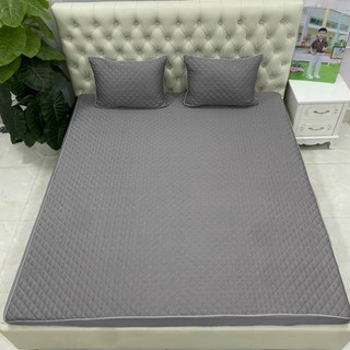 Bộ ga gối phi lụa 3 món trần trám-set ga kèm 2 vỏ gối đầu