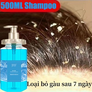 dầu gội trị gàu dầu gội cho da dầu  dầu gội trị nấm da đầu  dầu gội trị nấm da đầu  thuốc trị gàu  Làm Sạch Gàu