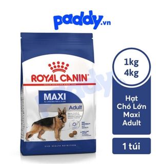 Hạt Royal Canin Maxi Adult Cho Chó Trưởng Thành Giống Lớn