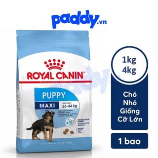 Hạt Royal Canin Maxi Puppy Cho Chó Con Giống Lớn