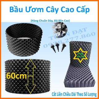 Bầu Ươm Cây V6 cao 60cm loại dày - kèm bộ vít (Hàng chuẩn)