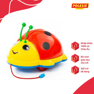 Bộ Đồ Chơi Cánh Cam Phát Nhạc Polesie 9158 Kích Thích Phát Triển Trí Tưởng Tượng, Thông Minh