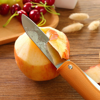 COMBO DAO CẮT TRÁI CÂY DU LỊCH - 2 IN 1 ( DAO VÀ NĨA )
