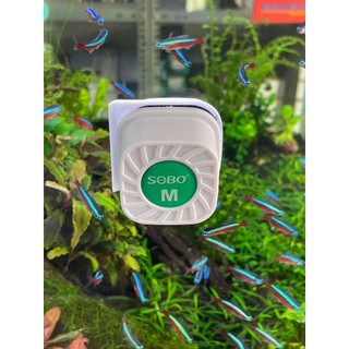 Nam châm lau bể cho bể cá sobo mini size s-m-l