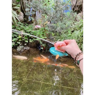 Rùa bơi siêu đáng yêu chạy cót