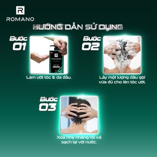 Dầu gội Romano Classic 650g