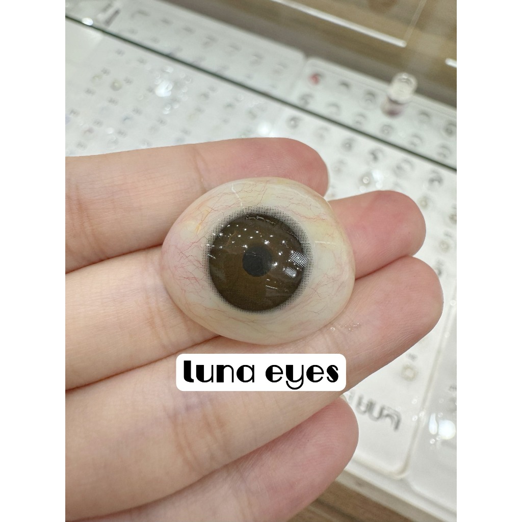 [1 year] Kính áp tròng LUNA EYES FB-213 BLACK/CHOCO - Lens size nhỏ