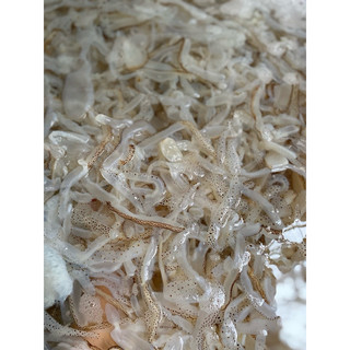 Thân SỨA Nhạt 500gr ( k tính nước)