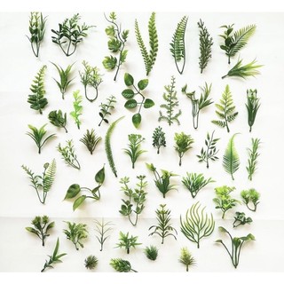 100gr cỏ điểm