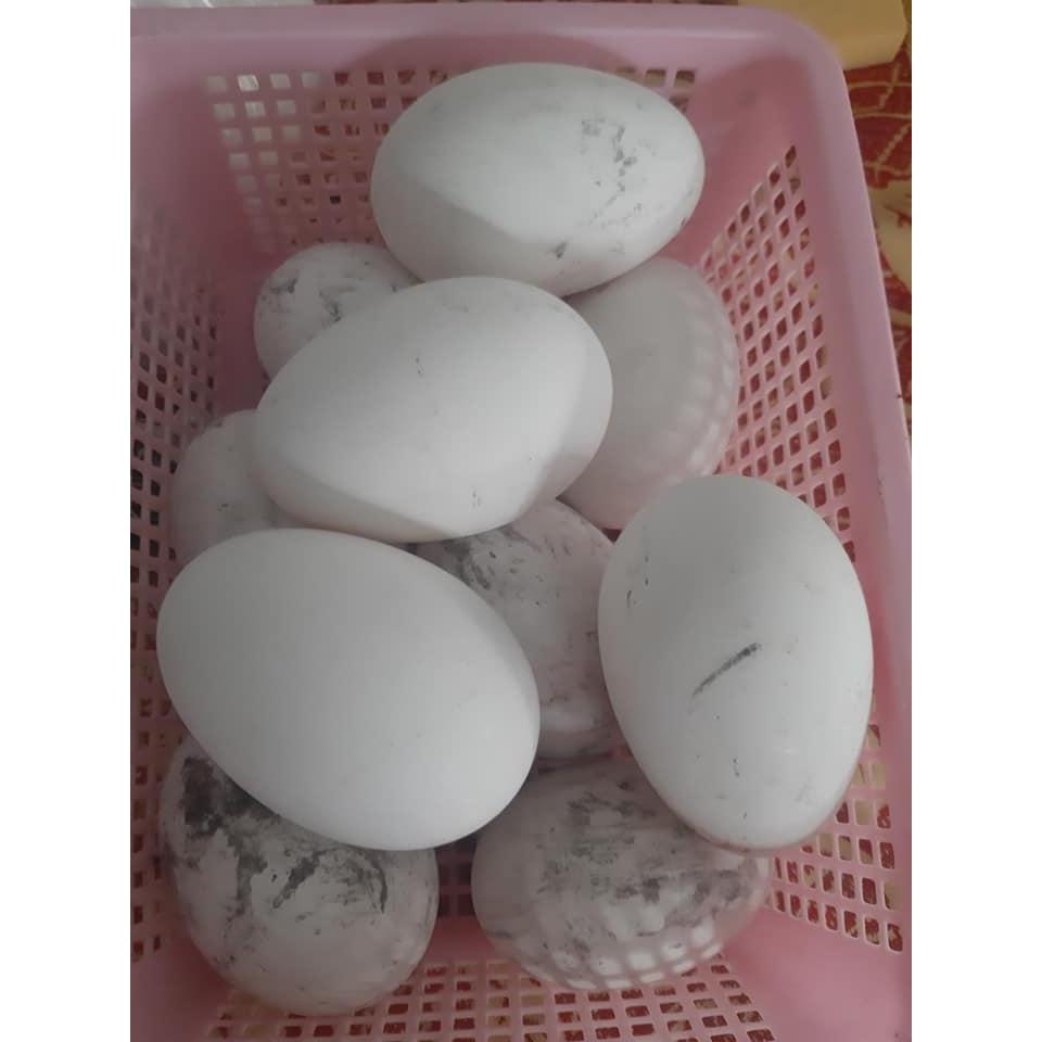 COMBO 10 TRỨNG NGỖNG TO [Hỏa tốc TPHCM]