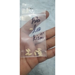 combo 4 hạt giống dưa (dưa hấu+dưa lê siêu ngọt+dưa bở+dưa leo)