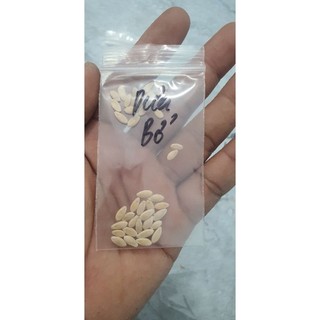 combo 4 hạt giống dưa (dưa hấu+dưa lê siêu ngọt+dưa bở+dưa leo)