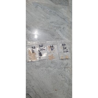 combo 4 hạt giống dưa (dưa hấu+dưa lê siêu ngọt+dưa bở+dưa leo)
