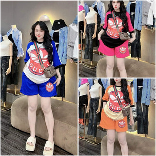 Sét Bộ Đùi Nữ Free Size Form Rộng Chất Cotton Su Thấm Hút Mồ_GC