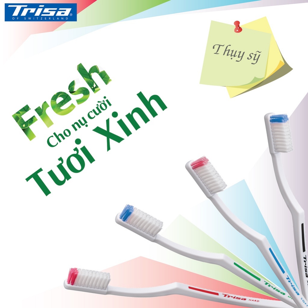 Combo 12 Bàn Chải Đánh Răng Trisa Fresh 4 Màu Cước Lông Bàn Chải Được Mài Tròn Hoàn Hảo