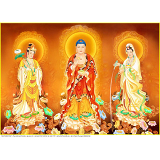 tranh thêu 150*108CM 11CT