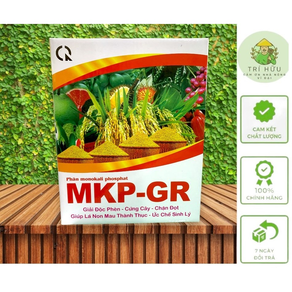Phân monokali phosphat (MKP) MKP-GR – Chặn Đọt, Thúc Lá Non Mau Già, Phân Hóa Mầm Hoa, Tạo Mầm Hoa (