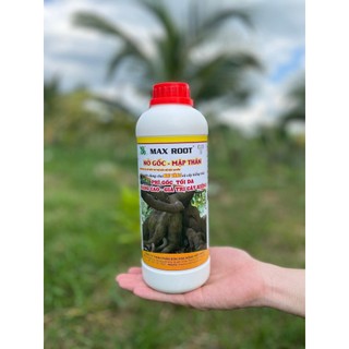 Phân Bón Cho Cây Kiểng To Củ Max Root NỞ GỐC - MẬP THÂN Chai 1 Lít - Cứng Củ, Mập Củ, Chắc Củ, Hạn Chế Dộp Củ, Thối Củ