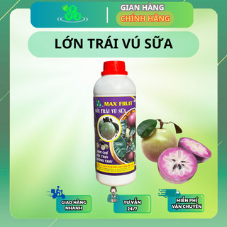 Phân Bón Max Fruit - Lớn Trái Vú Sữa Chai 1L - Trái Lớn Nhanh, Hạn Chế Sọc Trái, Sượng Trái