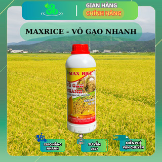 Phân bón cho lúa max rice - vô gạo nhanh chai 1 lít - vô gạo nhanh, chín đều, chắc tới cậy, đòng xanh