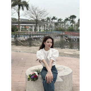 Sơ mi cổ nơ tay bồng QC