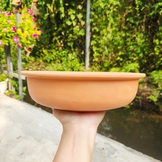 Chậu đất nung - chậu dáng đĩa tròn miệng 24 x cao 6