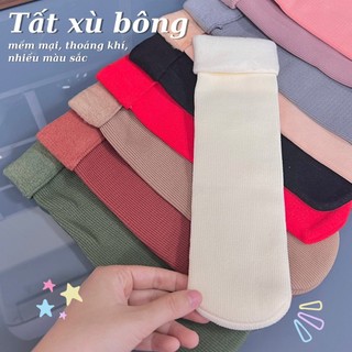 Vớ Tất Nữ Lông Nhung ủ kem Lót Nỉ Dày Dặn Cổ Trung Cao Cấp T&T SOCKS Thoáng Khí Mềm Mại - BX866