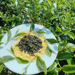 Trà Olong Quế Hoa,  (Gói 500gram) Olong Osmanthus. Nguyên liệu pha chế đậm vị