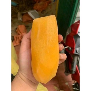 Hạt giống khoai sâm đất