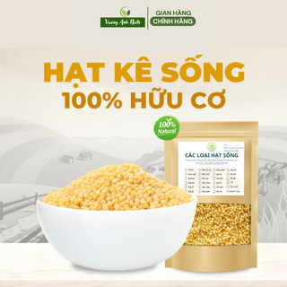 Hạt kê nếp, kê nếp Nghệ An sống dùng làm sữa hạt, nấu cháo, ăn kiêng