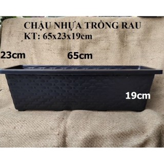  Combo 5 cái Chậu nhựa trồng rau thông minh 65x23x19cm chuyên trồng rau hoa cây kiểng loại siêu bền.. 