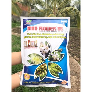 Phân bón kích hoa maxflower lân 86 gói 1kg - kích hoa đồng loạt, tạo mầm hoa, xử lý ra hoa nghịch vụ, hạn chế nghẹn hoa