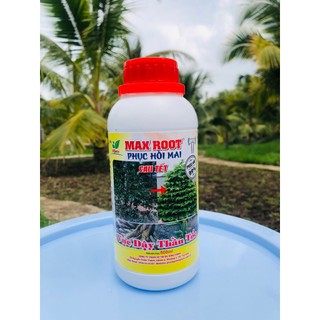 Phân bón mai vàng - max root phục hồi mai chai 500ml - phục hồi nhanh, bung đọt mạnh, ra rễ thần tốc