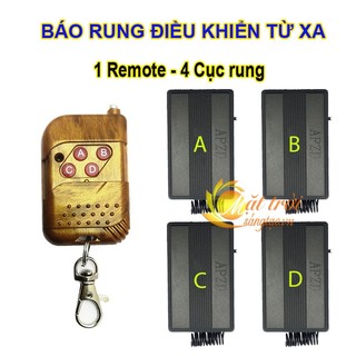 Báo rung điều khiển từ xa