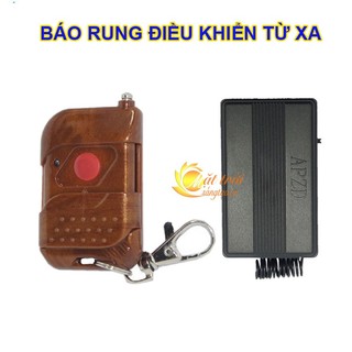 Báo rung điều khiển từ xa