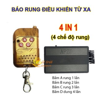 Báo rung điều khiển từ xa