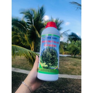 Bung đọt ra rễ chuyên sầu riêng chai 1l
