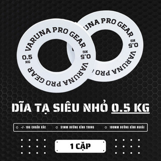 Cặp đĩa tạ micro 0.5kg vpg - cặp đĩa tạ kim loại mini 0.5kg - tạ mini tập gym, powerlifting