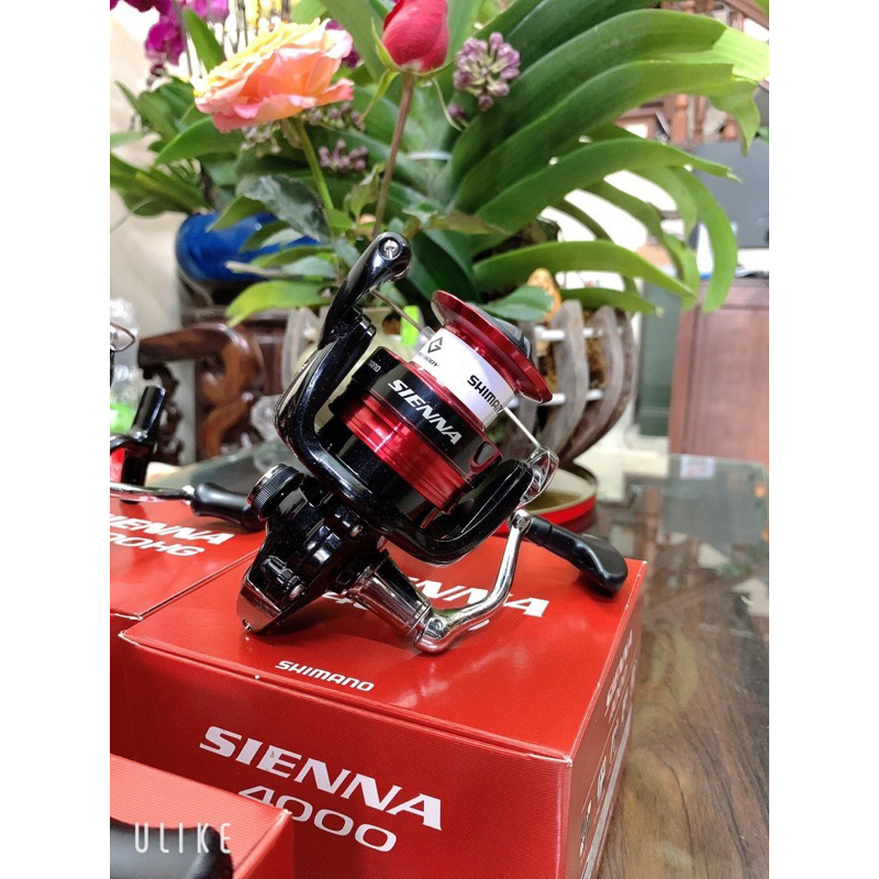 Máy câu Shimano SIENNA chính hãng