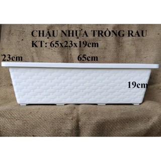 (Combo 10 cái) Chậu nhựa trồng rau thông minh 65x23x19cm chuyên trồng rau, hoa, cây kiểng loại siêu bền, nhựa dày....